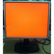 Монитор 19" TFT HP 1955 (DVI в Новогиреево, USB-хаб) "квадратный" (Новогиреево)