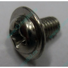 Компьютерный винт "малый" PW-M3x6mm (Новогиреево)