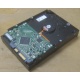 Жесткий диск HP 250Gb 7200 rpm 432337-001/ 399699-001 / 397377-004 (Новогиреево)