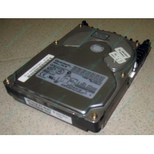 Жесткий диск 18.4Gb Quantum Atlas 10K III U160 SCSI 80 pin (Новогиреево)