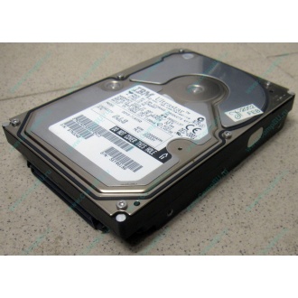 Жесткий диск 18.2Gb IBM Ultrastar DDYS-T18350 Ultra3 SCSI (Новогиреево)