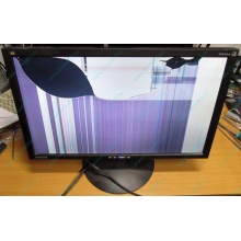 ViewSonic VA2413WM-2 разбитая матрица (Новогиреево)