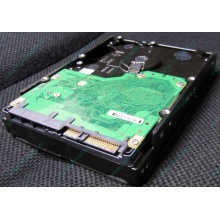 Жесткий диск 600Gb 15k Dell 9FN066-008 6G SAS ( Seagate Cheetach ST3600057SS 15K.7) - Новогиреево