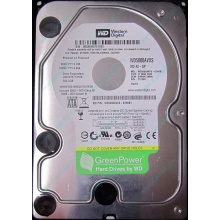Жесткий диск 500Gb Western Digital WD5000AVVS 5400 rpm SATA (Новогиреево)
