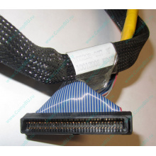 Кабель SCSI HP 166298-037 для HP ML370 G4 (Новогиреево)