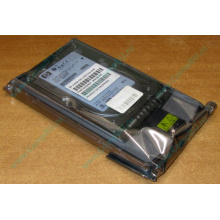 Жёсткий диск 146.8Gb HP 365695-008 404708-001 BD14689BB9 256716-B22 MAW3147NC 10000 rpm Ultra320 Wide SCSI купить в Новогиреево, цена (Новогиреево).