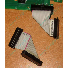 6017B0045701 Шлейф 24 pin для Intel C74974-401 T0043401-B01 корпуса SR2400 (Новогиреево)