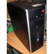 БУ компьютер HP Compaq Elite 8300 (Intel Core i3-3220 (2x3.3GHz HT) /4Gb /250Gb /ATX 320W) - Новогиреево