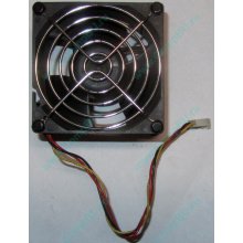 Вентилятор EFB0812HHE IBM 59P23B1 FRU 59P2572 (Новогиреево)