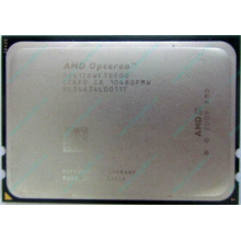 AMD Opteron 6128 OS6128WKT8EGO (Новогиреево)