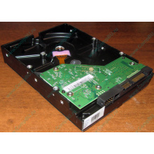 Жесткий диск 500Gb WD WD5000AAKX HP 634605-003 613208-001 7.2k SATA (Новогиреево)