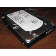 Жесткий диск 300Gb 15k Dell 9CH066-050 6G SAS (Seagate Cheetach ST3300656SS 15K.6) - Новогиреево