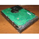 Жесткий диск 300Gb 15k Seagate Cheetach ST3300656SS 15K.6 Dell 9CH066-050 6G SAS (Новогиреево)